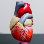 Lire la suite à propos de l’article 5 conseils pour faire baisser son cholestérol et préserver sa santé cardiovasculaire