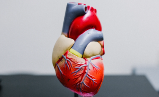 Lire la suite à propos de l’article 5 conseils pour faire baisser son cholestérol et préserver sa santé cardiovasculaire