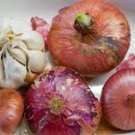 Lire la suite à propos de l’article Régime FODMAP : 5 raisons qui font qu’il ne marche pas (toujours)