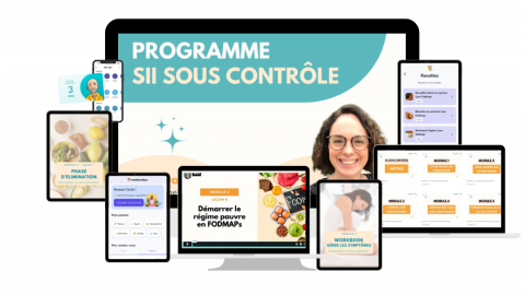 Programme SII SOUS CONTROLE