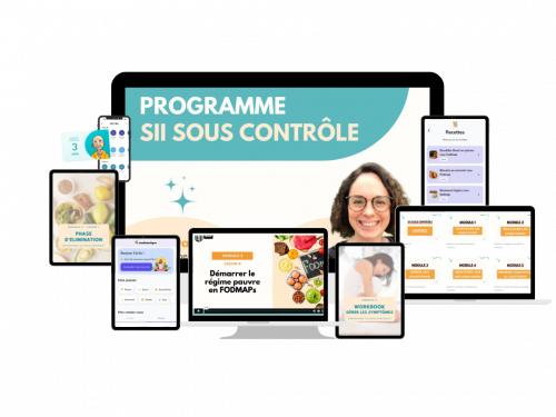 Programme SII SOUS CONTROLE