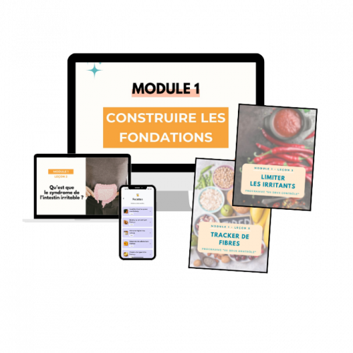 Module 1 SII SOUS CONTROLE