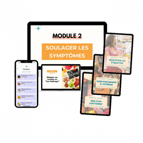 Module 2 SII SOUS CONTROLE