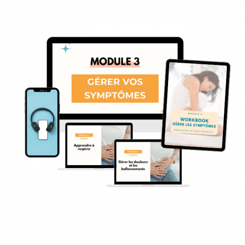 Module 3 SII SOUS CONTROLE