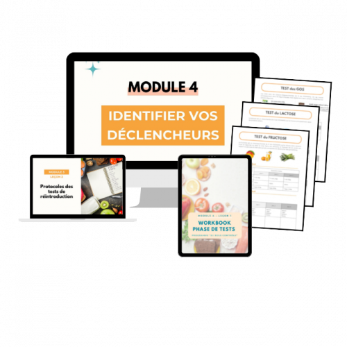 Module 4 SII SOUS CONTROLE